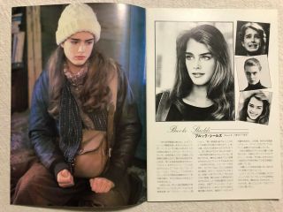 Endless Love Movie Program Book Pamphlet 1981 Brooke Shields Martin Hewitt Japan 2