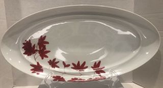 Mikasa Pure Red 18 1/2 " Oval Serving Platter