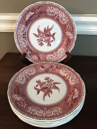 Set Of 6 Spode Camilla Pink Red Dinner Plates,  10 3/8 ",  England Transfer Ware