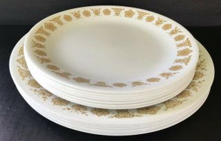 Vintage Corelle Butterfly Gold Dinner 10 1/4” & Lunch 8 1/2” Plates Set of 13 2