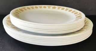 Vintage Corelle Butterfly Gold Dinner 10 1/4” & Lunch 8 1/2” Plates Set of 13 3