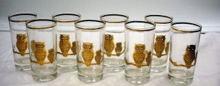 Set Of 8 Culver 22k Gold Owl Water Highball Glasses 1950 60 