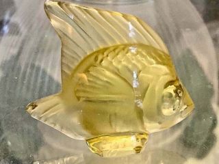 Lalique,  Crystal,  Bright Yellow,  Angel Fish Figurine,  Signed,  Lalique,  France