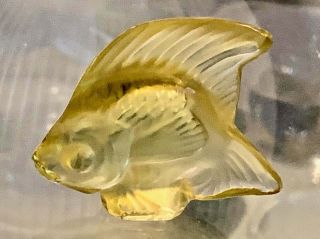 Lalique,  Crystal,  Bright Yellow,  Angel Fish Figurine,  signed,  Lalique,  France 3