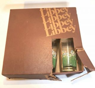 Libbey Set 8 Vintage 60 - 70’s Flowers Grass Tumbler Iced Tea Glasses Old