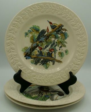 Set Of 3 John James Audubon " The Birds Of America " 10.  25 " Dinner Plates By Adams
