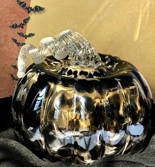 Zorza Hand Blown Art Glass,  Clear & Black Fall,  Harvest Halloween Pumpkin - Nwt
