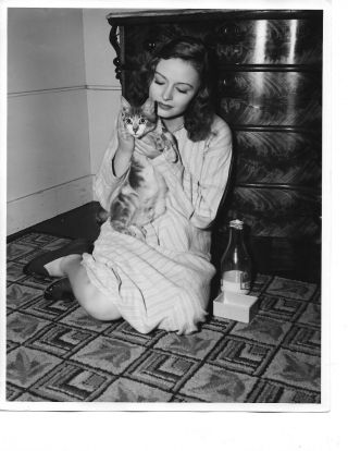 Donna Reed Early 8 X 10 Double - Weight Candid Photo
