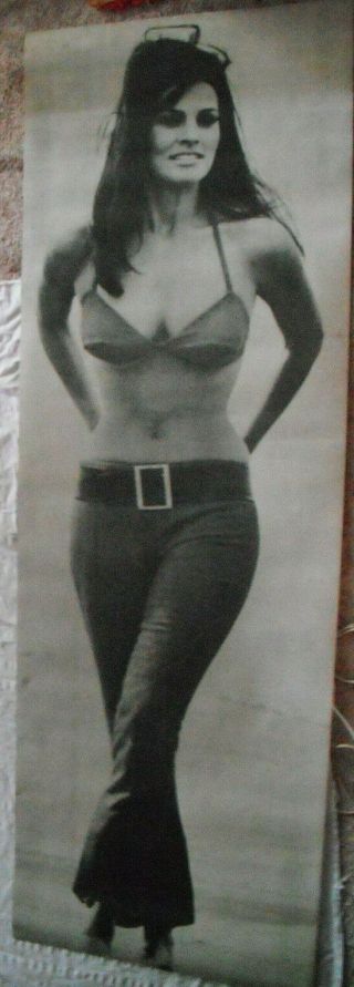 Raquel Welch Huge 1969 Poster Life Size Personality Belly Button Bra