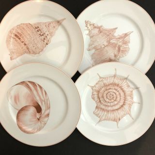 Vintage Fitz And Floyd Coquille Dinner Plates Set Of 4