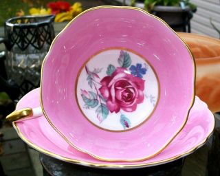 Hot Pink Paragon Wide Mouth Tea Cup Saucer Pink Cabbage Roses Double Warrant