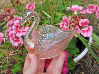 Fenton Pink Antique Carnival Art Glass Swan Pastel - Glorious Salt Dip Neat