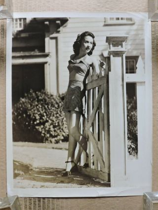 Jane Powell Leggy Fashion Pinup Portrait Photo 1946 Mgm