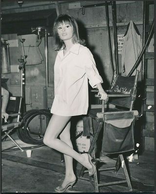 1965 Photo Marianna Hill Sexy Leggy Film & Television Actress