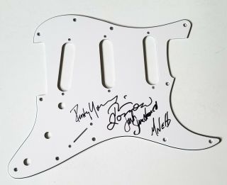 Poco Band Real Hand Signed Guitar Pickguard 1 Autographed By 4
