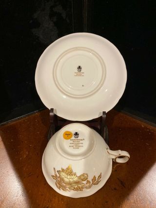 Wedgwood Ruby Tonquin bone china cup and saucer W2488 2