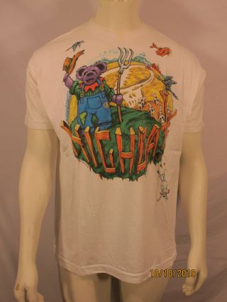 Grateful Dead Concert Tee Shirt 1995 Highgate Vermont,  Xl,  Liquid Blue
