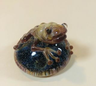 Art Glass Frog Toad Paperweight Vortex Glassworks? Kenny Talamas? 3” Dichroic