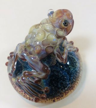 Art Glass Frog Toad Paperweight Vortex Glassworks? Kenny Talamas? 3” Dichroic 2