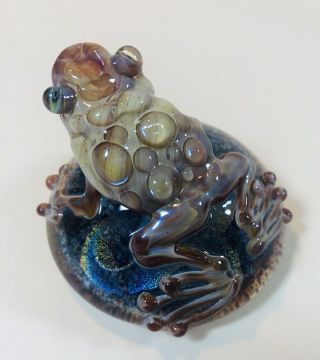 Art Glass Frog Toad Paperweight Vortex Glassworks? Kenny Talamas? 3” Dichroic 3