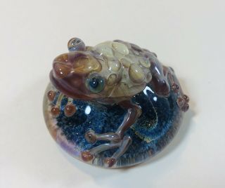 Art Glass Frog Toad Paperweight Vortex Glassworks? Kenny Talamas? 3” Dichroic 4