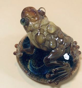Art Glass Frog Toad Paperweight Vortex Glassworks? Kenny Talamas? 3” Dichroic 6