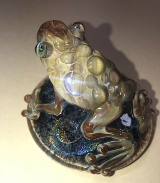 Art Glass Frog Toad Paperweight Vortex Glassworks? Kenny Talamas? 3” Dichroic 7