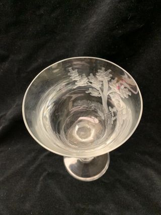 Moser Wine Glass Clear Birds Of The Wild 6.  875” 4