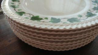 Harker Royal Gadroon Green Ivy Set Of 8 Dinner Plates Matching
