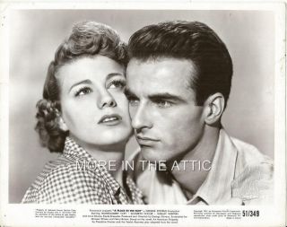 Montgomery Clift Shelley Winters A Place In The Sun Orig George Stevens Portrait