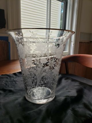 Cambridge Glass,  Wildflower Pattern,  Etched Glass Flower Vase (blown Glass)