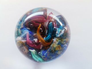 Stunning Art Glass Marble Paperweight Ocean Sea Coral Reef Signed By Doug Sweet