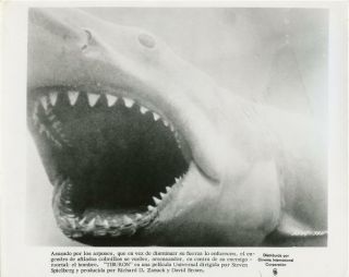Jaws 1975 Shark W/mouth Open Movie Photo 1092