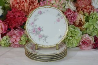 Very Fine,  Exceptional,  Haviland Salad Plates Double Gold,  Pink Roses (6)