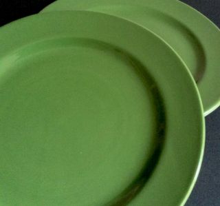 “INTO THE JUNGLE” VIETRI 2 Dinner Plates,  2 Salad Plates Tropical greens & white 3