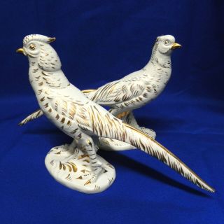 Vintage Zaccagnini Porcelain White Pheasant Pair Italy Kbny Signed & Numbered 9 "