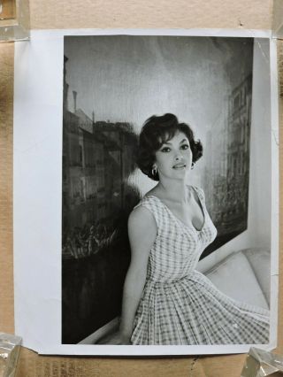 Gina Lollobrigida Busty Candid Portrait Photo 1966