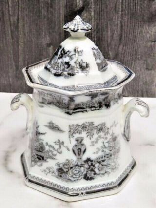 W.  Adams Jeddo Flow Black Mulberry Covered Sugar Bowl Jar Antique Ironstone