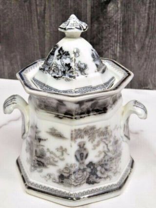 W.  Adams Jeddo Flow Black Mulberry Covered Sugar Bowl Jar Antique Ironstone 2