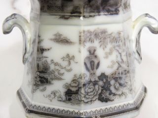 W.  Adams Jeddo Flow Black Mulberry Covered Sugar Bowl Jar Antique Ironstone 8