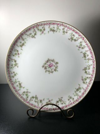 Antique Haviland & Co Limoges Rare Floral Plates 8 3/4” Luncheon Plates