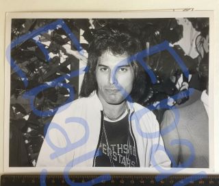 Queen,  Freddie Mercury Press Photo