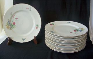 12 Rorstrand Sweden Porcelain Salad Plates 541 Wild Flower Design