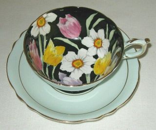 Paragon Cup And Saucer Tulips Daffodils Narcissus Green Black Interior