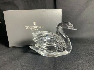 Rare - Large Waterford Crystal Swan - 104983 - W/ Box