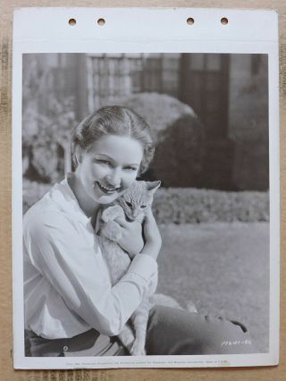 Evelyn Venable With Her Cat Key Set Portrait Photo 1934 Death Takes A Holiday