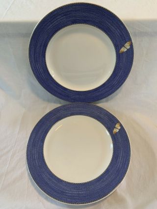 Set Of 4 Wedgwood Sarahs Garden Dinner Plates Blue Trim Porcelain Butterfly