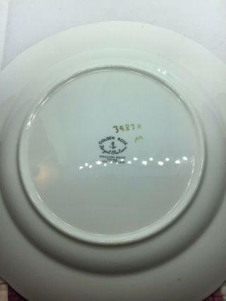 Vintage Royal Chelsea ‘Golden Rose’ 8 Inch Salad/Luncheon Plate set of 4 2