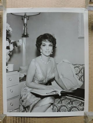 Gina Lollobrigida Reads The Script Busty Candid Portrait Photo 1959 Never So Few