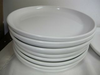 Crate & Barrel Culinary Arts White Coupe Dinner Plates (8) Cafeware Rim